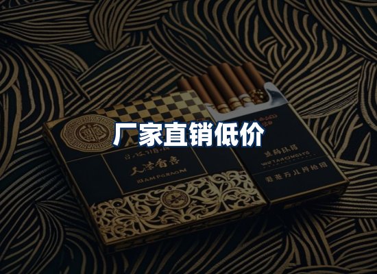 专业团队办公环境